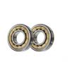 Buy cheap NU203 ECP Cylindrical Bearing Rollers Premium Quality 17x40x12mm Nj 203 Bearing from wholesalers