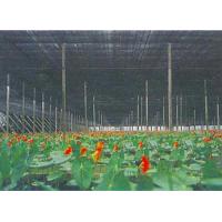 Buy cheap Agriculture Greenhouse Shade Netting product