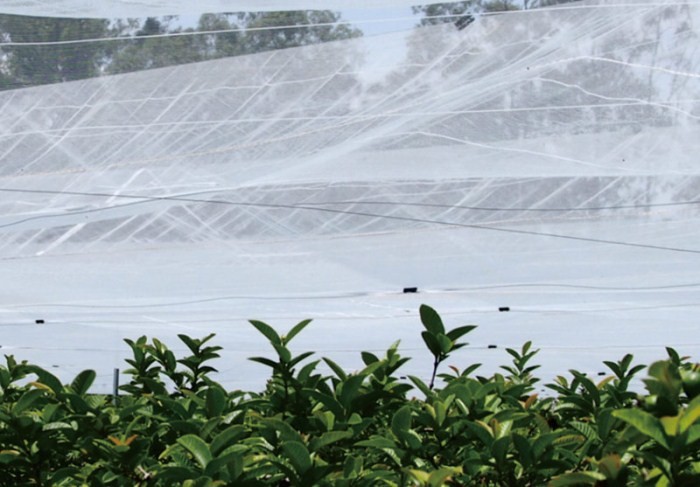 Durable Mosquito Wire Mesh / Anti Trips Plant Protection Netting Eco Friendly