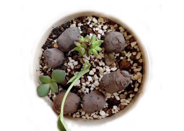 8-16 mm Clay Pellets Growing Medium Garden Decoration Ball For Hydroponic