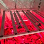 Samsung LM301H 480watt LED Grow Bar Light For 3'X3' Grow Tent