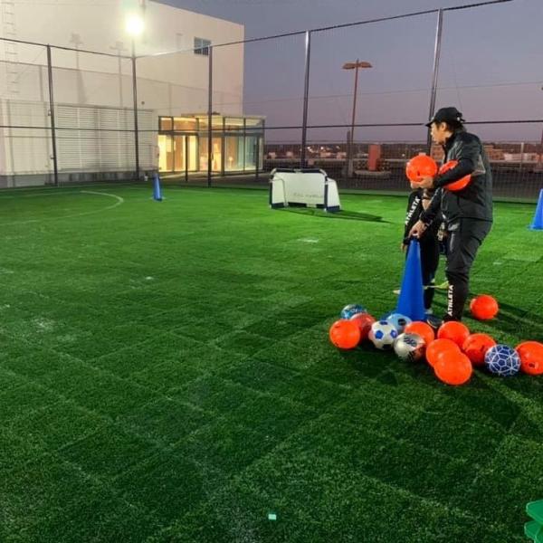 Buy cheap Anti UV Anti Aging Artificial Grass 45mm , Sports Synthetic Grass 50cm × 50cm from wholesalers