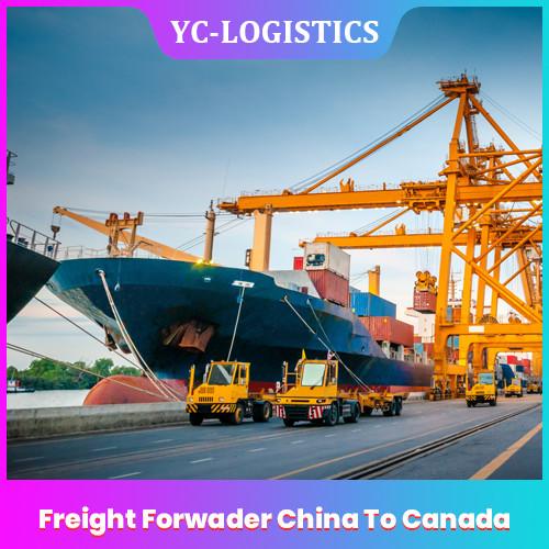 FOB EXW China To Canada Freight Forwarder From Shenzhen To Worldwide , DDU Sea