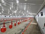 Galvanized Steel Structure Poultry House Chicken Coop Prefab Farm Buildings