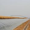 Buy cheap Advanced Vegetable Cultivation Sunlight Greenhouse 40HQ Reefer Container for Superior from wholesalers