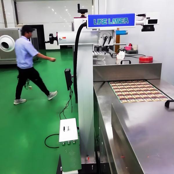 3-Year After-sales Service CO2 Laser Marking Printer for Production Line and Pet