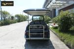 Dual Automotive - Style Strut Electric Golf Cart Club Car for Golf Courses