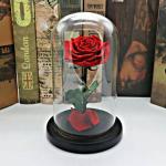 Beautiful Rose Flowers Everlasting Rose Preserved Flower Eternal Rose in Glass