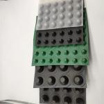 HDPE Drainage Board Traditional Design Style for Water Management in Water