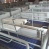 Buy cheap Automatic Swine Hog Gestation Crates Floor Standing HI HOPE from wholesalers