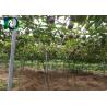 Buy cheap Durable Orchard Poles For Kiwi Fruit Plant Provide Matched Wire Connector from wholesalers