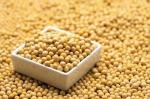 Horizontal Beans Granule Pouch Filling Packing Machine For Food 380V 50 Bags/min