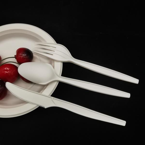 6inch 6.5inch 7inch CPLA Compostable Tableware 100% Biodegradable White