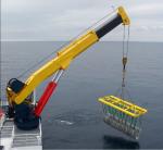 Top Lift Weight 1 ton to 10ton Telescopic boom crane or Knuckle Telescopic