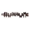 Buy cheap 6CT Excavator Crankshaft 3917320 Diesel Engine Motor Parts from wholesalers