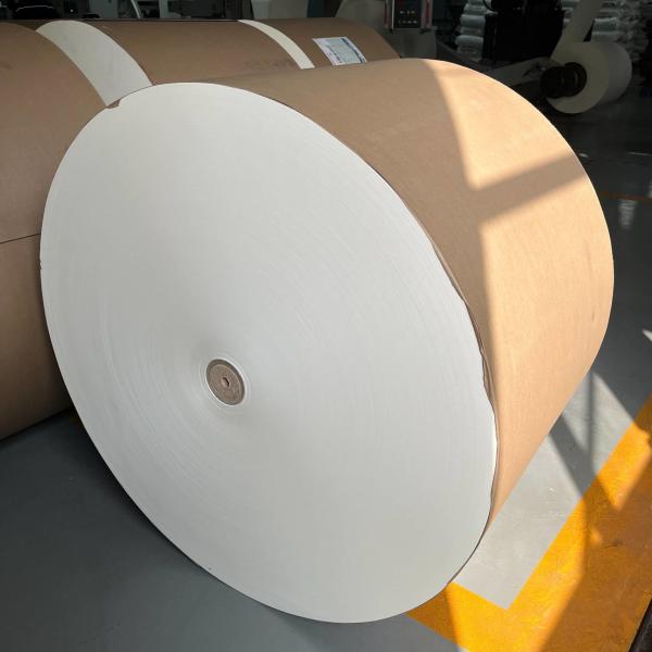 Buy cheap Biodegradable PLA Coated Paper Roll 150 - 350 Gsm For Food Packaging Solutions from wholesalers
