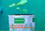 Effective UV Stabilized Black White Plastic Growing Bag / Polyethylene Jumbo