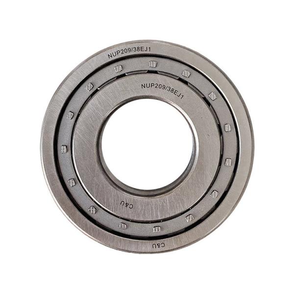 0735.303.694 Omako Bell Cylindrical Roller Bearing NUP209/38EJ1 for FOTON Truck