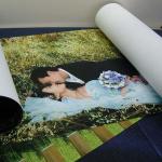 Self Adhesive Inkjet Vinyl Sticker Paper Roll Inkjet Photo Media Indoor Outdoor