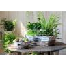 Buy cheap wicker basket manufacturer wicker garden basket willow plant baskets stock fast shipment from wholesalers