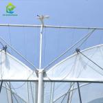 Agricultural Commercial Industrial Plastic Film Greenhouse With Complete Systems