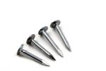 Roofing Nail （Clout Nail）