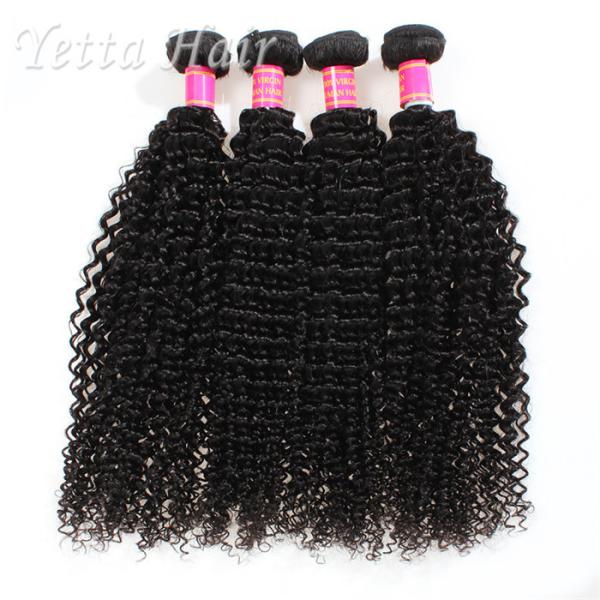 Buy cheap Kinky Curly Burmese Virgin Hair Bundles , No Tangle Real Wavy Hair from wholesalers