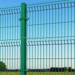 Fast Supply Speed Insulated Garden Fencing Metal Frame PVC Coated 3D Curved Wire