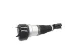 A2213204913 Front Airmatic Air Suspension Shock Absorber For Mercedes Benz S