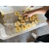 Buy cheap Professional Stainless Steel 304 Electric Apple Peeler and Corer Slicer for Commercial from wholesalers
