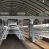 Buy cheap A Type 43*41 cm Full Automatic Battery Cage System from wholesalers