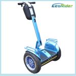 City scooter 50km range 2016 Popular road bike 2 Wheels Electric Scooter