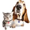 Buy cheap QR Code RFID Dog Tag NFC For Pet Anti Lost 213 Epoxy Waterproof from wholesalers