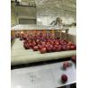 Buy cheap Industrial Apple Processing Line For Jam 400T/D SUS304 from wholesalers