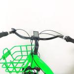 20 Inch Fat Tire 3 Wheel Electric Tricycle Long Range With 48V 350W 1000W Motor