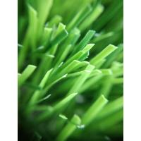 Buy cheap Football Woven 50mm Hybrid Artificial Turf product