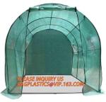 Economic Small Windscreen Green Garden House,vegetable greenhouse hoop green