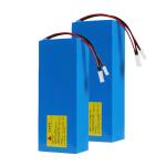 LFP Electric Scooter Lithium Battery , Golf Trolley Lithium Battery 24V 40Ah