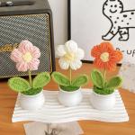 Birthday gift for girls: puff pastry, small flower potted plant, desk decoration