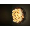 Buy cheap Food Bread Fresh Fruit Vegetable 6000K Special Color Led Cob from wholesalers