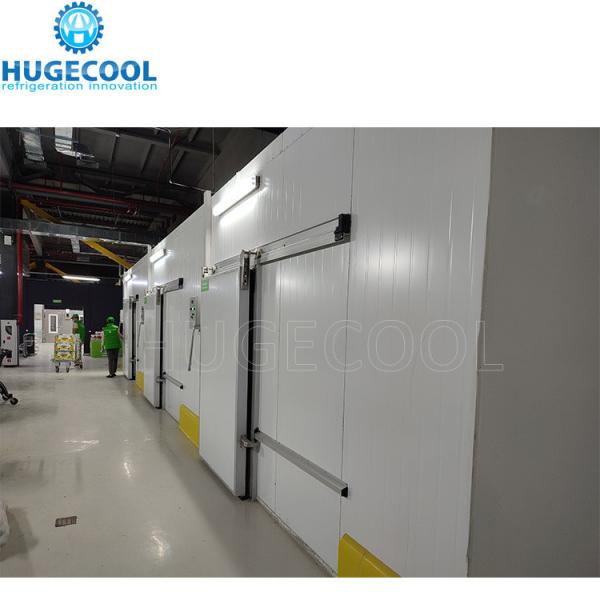 Hinged Door Walk in Cooler Freezer Combo Chiller Room with Refrigeration