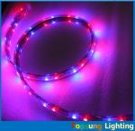 Hot sale 5050 smd 60LED/m blue strip flexible led ribbon 110V AC LED strip