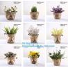 Buy cheap colorful gold TYVEK washable paper garden pots flower pot storage bag,Washable Kraft Paper planter ,kraft paper planter from wholesalers