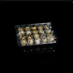 Buy cheap 20 Hole Disposable Plastic Egg Packaging PET Transparent Egg Tray Portable from wholesalers