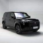 476PS Motor Polestones 01 Cross Country 7 Seat SUV Ternary Lithium Battery
