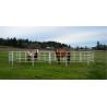 Buy cheap Back Yard Garden Animal Husbandry Iron Temporary Corral Fencing from wholesalers
