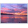 Buy cheap Thin Film Transistor Color LCD Display 250 Cd/m21920 X 108012V from wholesalers
