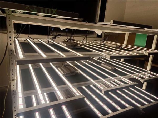 Buy cheap Spydr led greenhouse lights UL8800 Meanwell 330watt Horticultural LED Vertical Grow Light from wholesalers