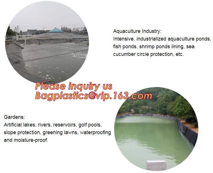 2.0mm geomembrane for landfill Hdpe geomembrane landfill geomembrane,hdpe geomembrane price/gse hdpe geomembrane BAGEASE