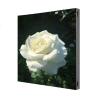 Buy cheap P3.9 Outdoor Fixed LED Display Screen 1000×1000mm Aliuminum Profile Cabinet from wholesalers